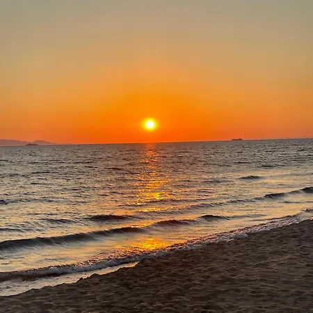 Ferienhaus Trifhouse - Village And Sea Escape